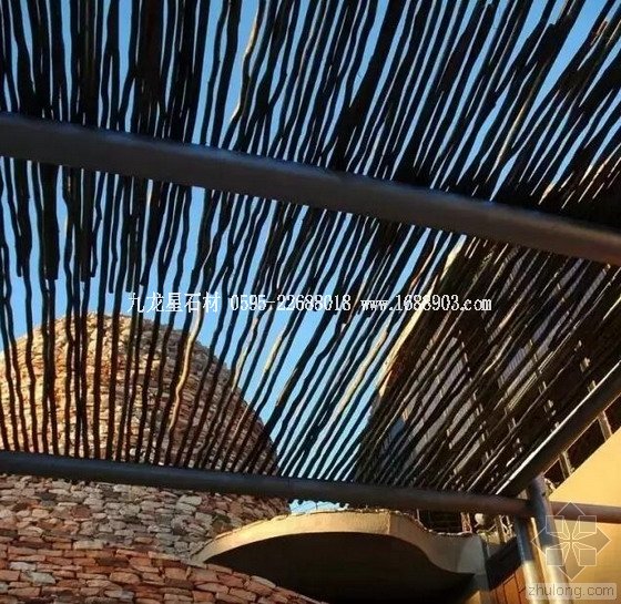 盤點仿生界的五大景觀奇跡