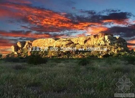 盤點仿生界的五大景觀奇跡